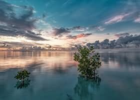 九图Jean美女写真合集打包下载96套 27GB